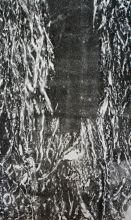 Epaisseur d‘écorce ou l‘empreinte d‘un visible / Acacia - 170x100 cm - estampe sur papier intissé - 2016
